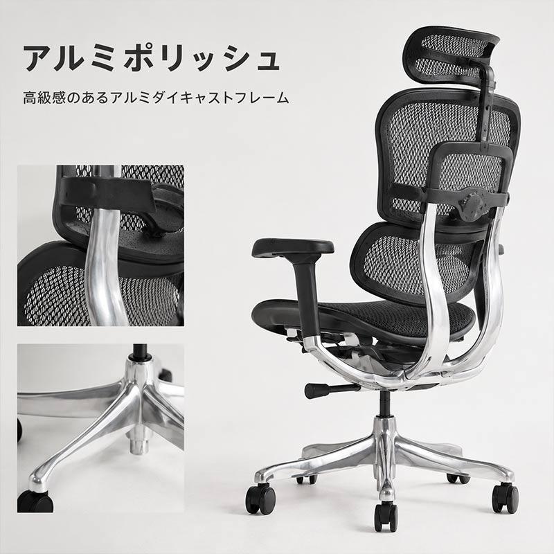 エルゴヒューマン（Ergohuman） エルゴヒューマンプロ2ハイタイプ EHP2