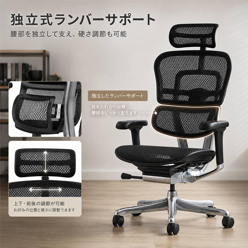 エルゴヒューマン（Ergohuman） エルゴヒューマンプロ2ハイタイプ EHP2