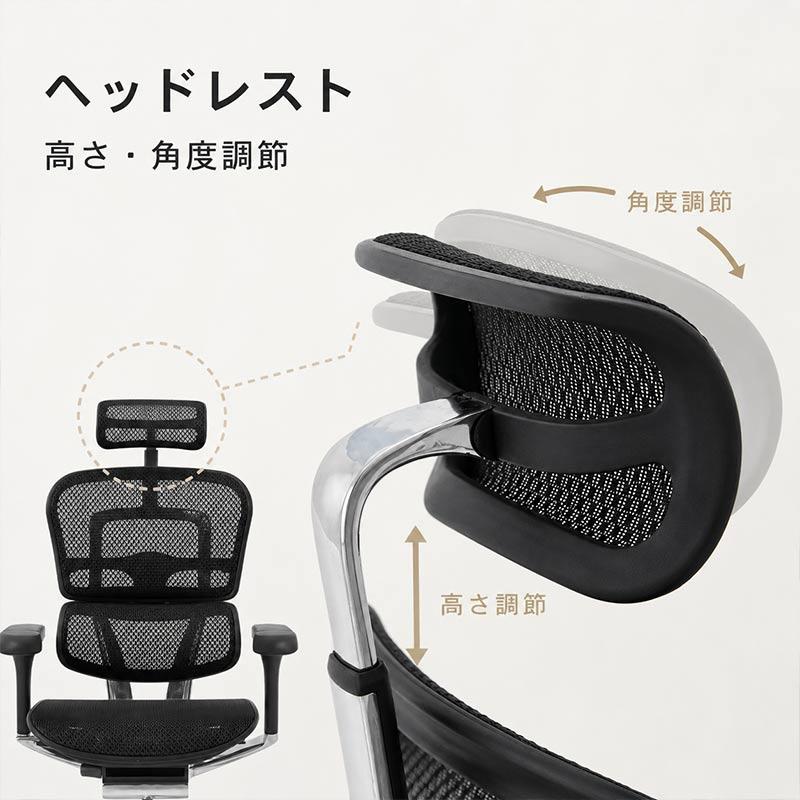 エルゴヒューマン（Ergohuman） エルゴヒューマンプロ2ハイタイプ EHP2