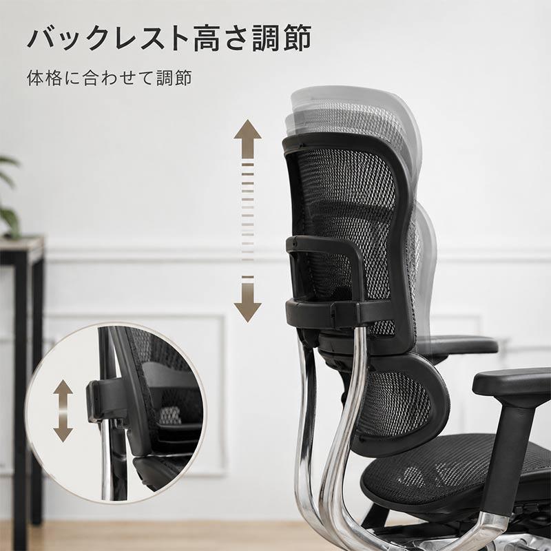 エルゴヒューマン（Ergohuman） エルゴヒューマンプロ2ハイタイプ EHP2