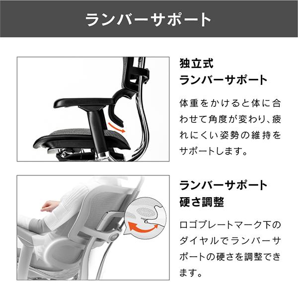 エルゴヒューマン オットマン オフィスチェア ゲーミングチェア EHP2-LPL-DR エルゴヒューマンプロオットマン2 Ergohuman　t001-elg-ehp2-lpl-ch