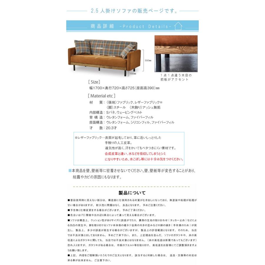 2.5人掛けソファ のみ 幅170cm 背もたれ取り外し可能 ハンドクッション