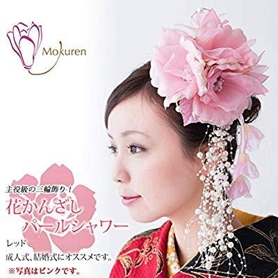 人気再入荷 花髪飾り かんざしパールシャワー 紫 成人式 振袖 卒業式 袴 着物 和装 簪 髪型 Crescent Island 通販 Yahoo ショッピング 送料無料 Www Yalaphone Com