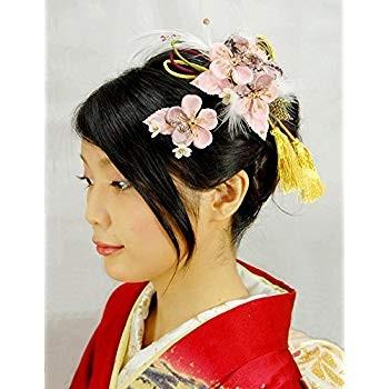 全国組立設置無料 組紐付き花髪飾り かんざし ピンク 梅 成人式 振袖 卒業式 袴 着物 和装 髪型 Crescent Island 通販 Yahoo ショッピング 高知インター店 Smmacademy Ru
