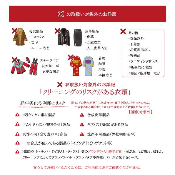 クリーニング 宅配 保管 7点まで 詰め放題 宅配クリーニング 送料無料 ダウン 枚数制限なし クレス (9月下旬青7点)_17