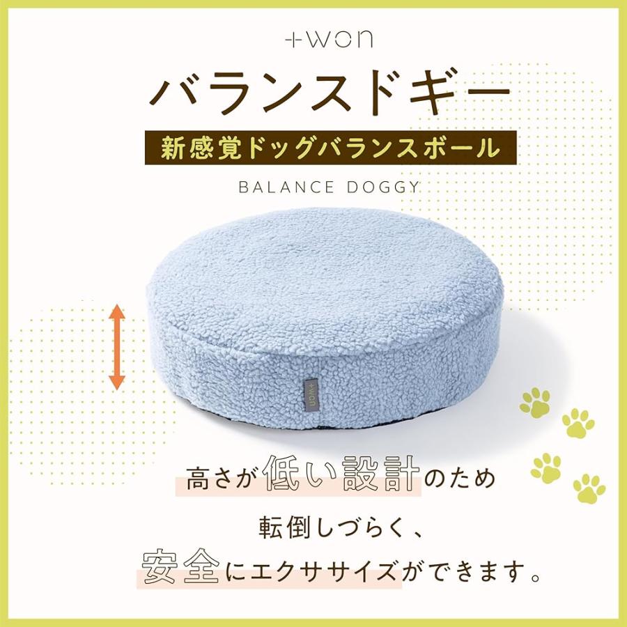 ＋won] [プラスワン]バランスドギー 犬用 バランスボール 筋トレ 筋肉