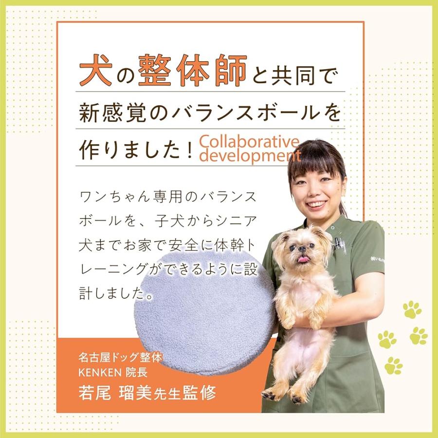 ＋won] [プラスワン]バランスドギー 犬用 バランスボール 筋トレ 筋肉