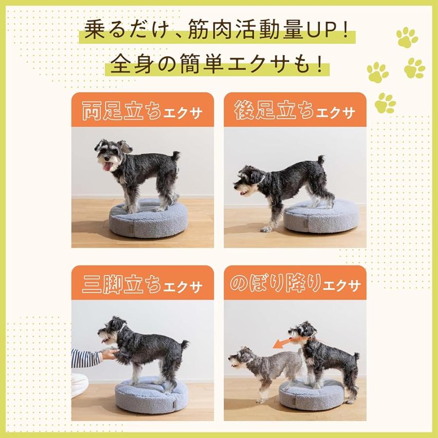 ＋won] [プラスワン]バランスドギー 犬用 バランスボール 筋トレ 筋肉