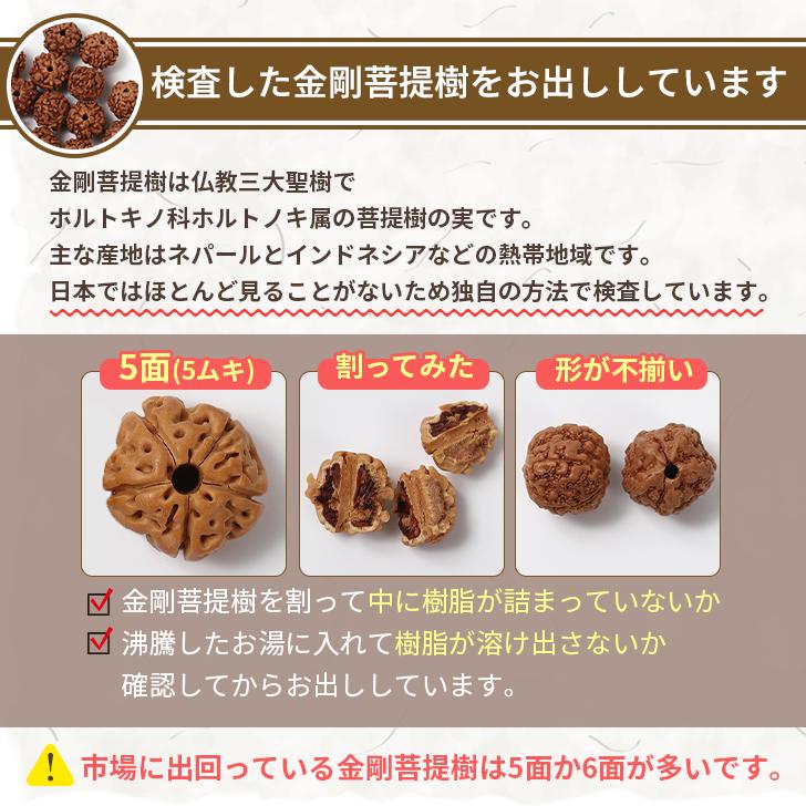 金剛菩提樹 6mm 108玉 ルドラクシャ 数珠 念珠 仏具 : クレストビーズ 