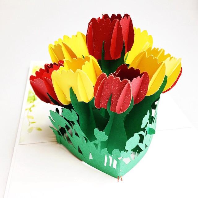 ポップアップ グリーティング カード チューリップ かわいいイラスト入り 入学祝いなどに Crec186 クレーブ ヤフーshop 通販 Yahoo ショッピング