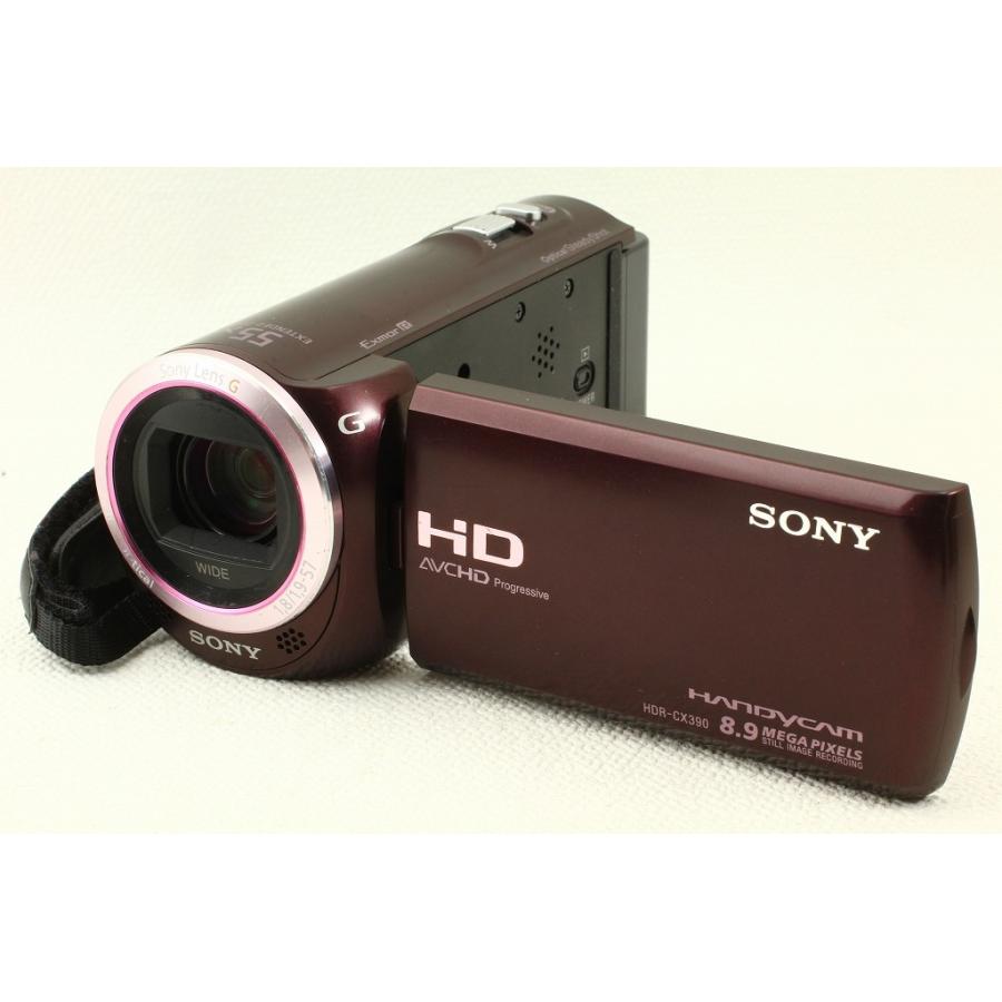 品数豊富！ Sonyソニー デジタルHDビデオ HDR-CX390 ボルドーブラウン