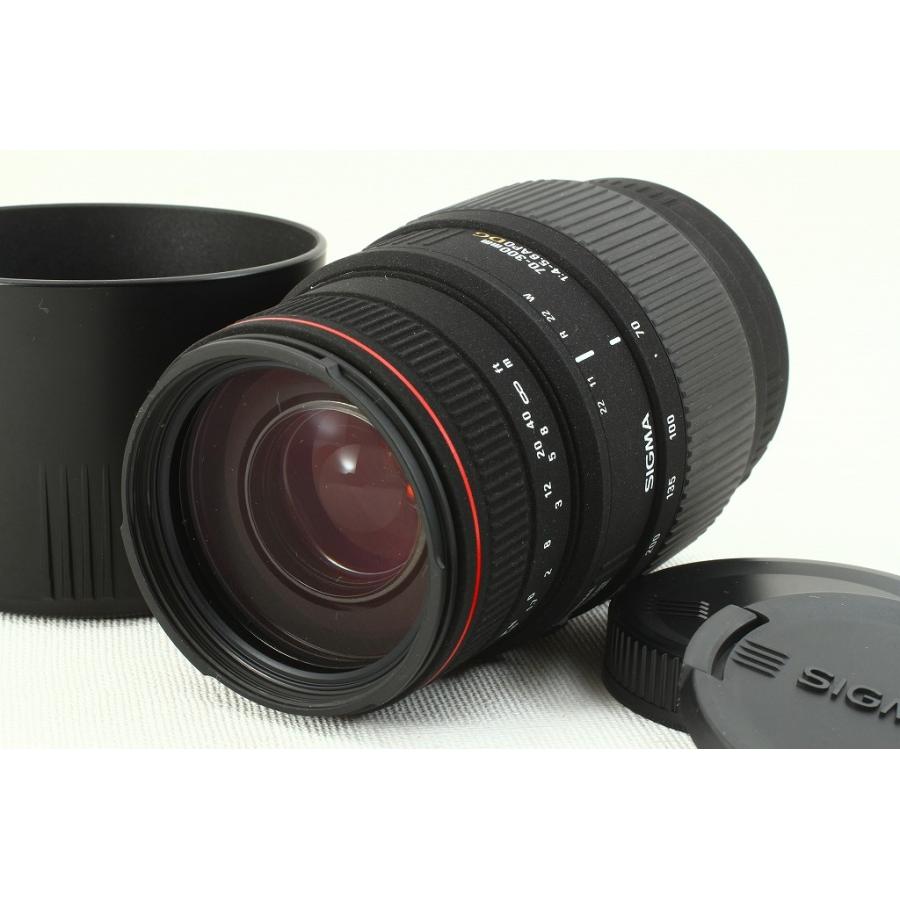 休み SIGMAシグマ APO 70-300mm F4-5.6 DG MACRO Canonキヤノン