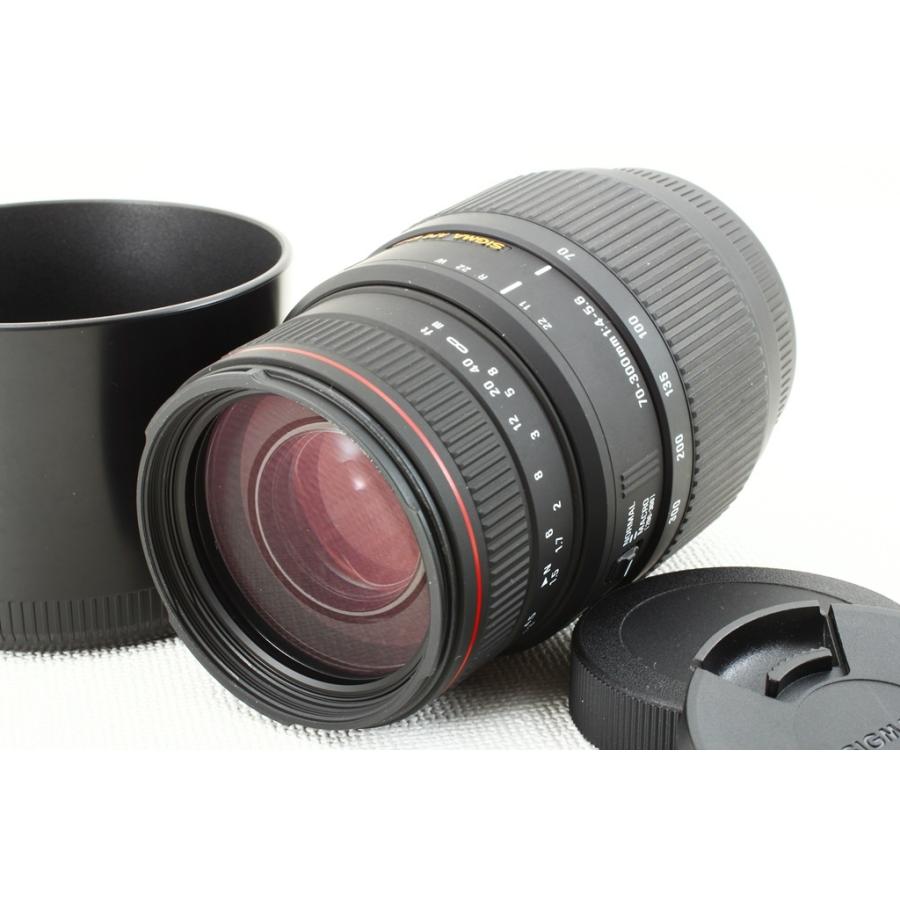 SIGMA シグマ APO 70-300mm F4-5.6 DG MACRO Sonyソニー◇望遠ズーム