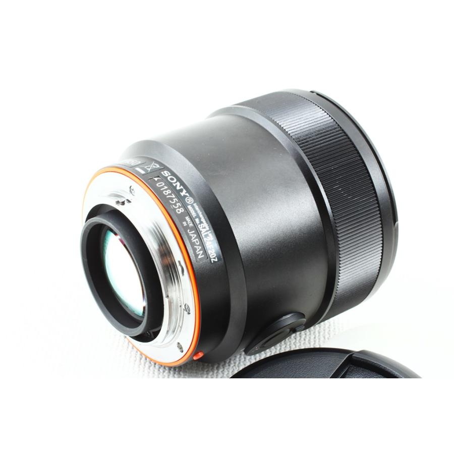SONY ディスタゴン 24mm F2 ZA SSMSAL24F20Z