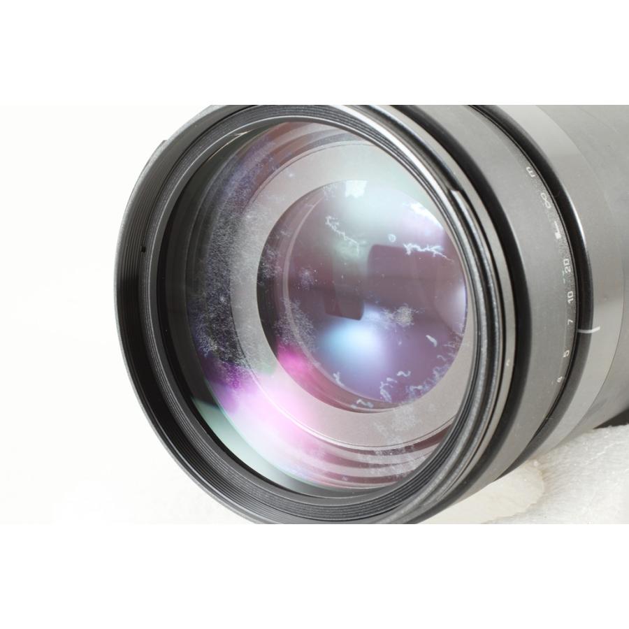 ♥︎◇高性能望遠レンズ♪ ◇TAMRON 200-400ｍｍ NIKON TAMRON AF 200-400mm F5.6 LD IF [75D] 貧者の望遠レンズの実力