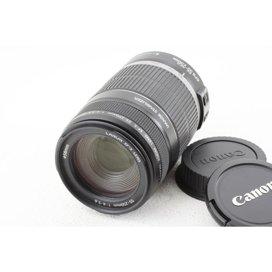 Canon キヤノン EF-S 55-250mm F4-5.6 IS◆望遠ズームレンズ/極上品ランク | キヤノン