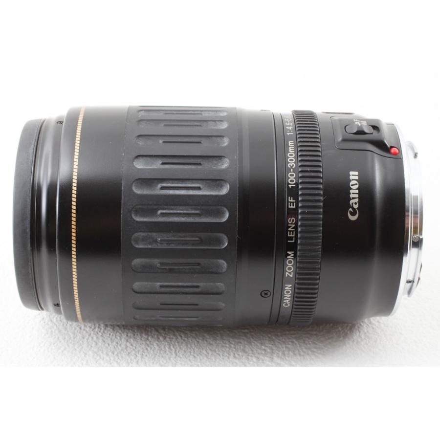 Canon キヤノン EF 100-300mm F4.5-5.6 USM◇望遠ズームレンズ