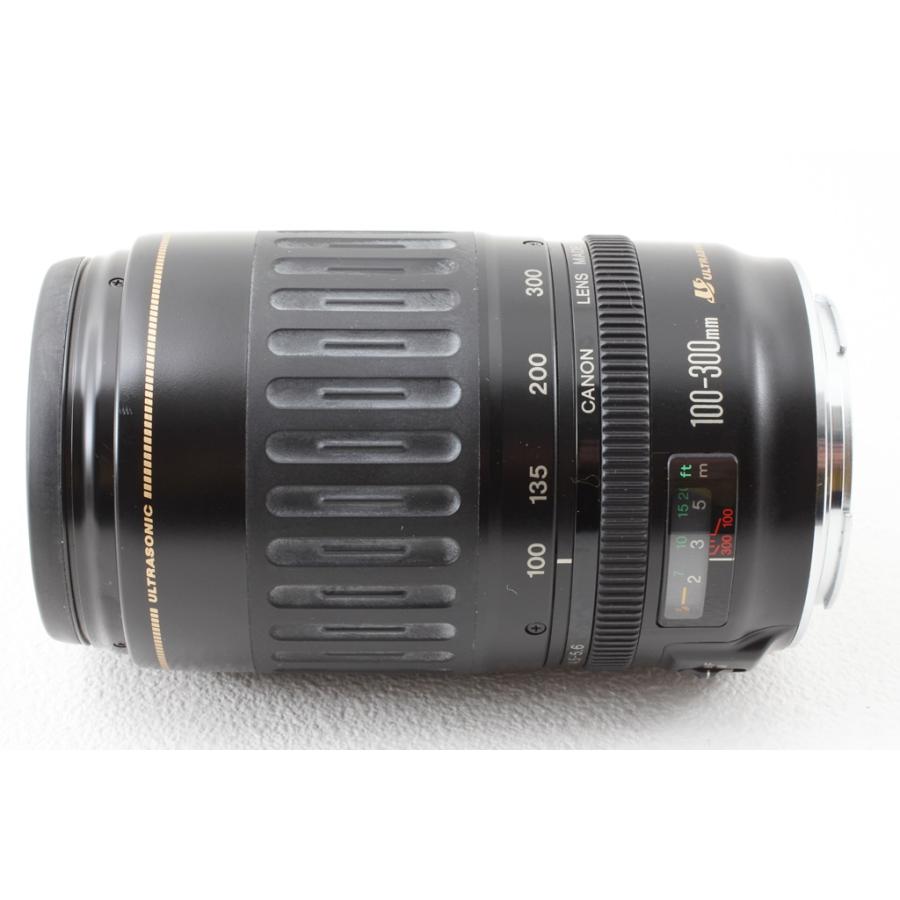 キャノンEFズームレンズ100-300mm F4.5-5.6 【公式通販】