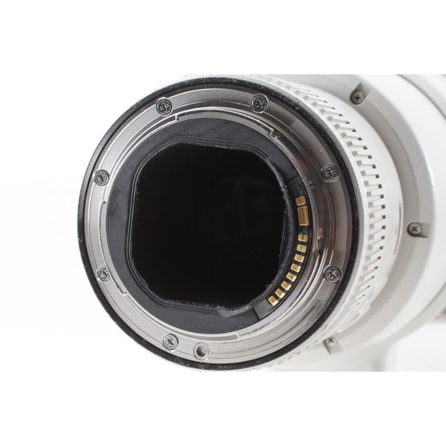 Canon キヤノン EF 600mm F4L IS II USM◆超望遠レンズ,ケース/極上品ランク | キヤノン | 08
