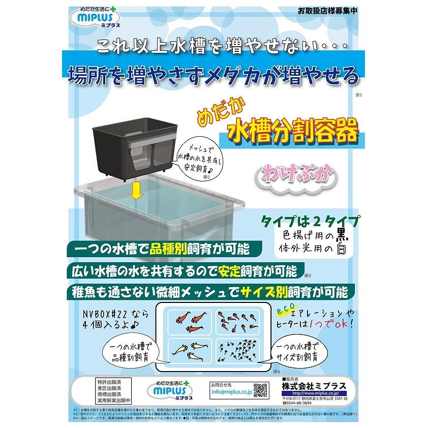 めだか水槽分割容器 わけぷか 白 : Crimson meteor - 通販