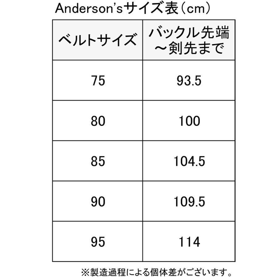 アンダーソンズ レザーメッシュベルト 25mm ブラック Anderson's 2781