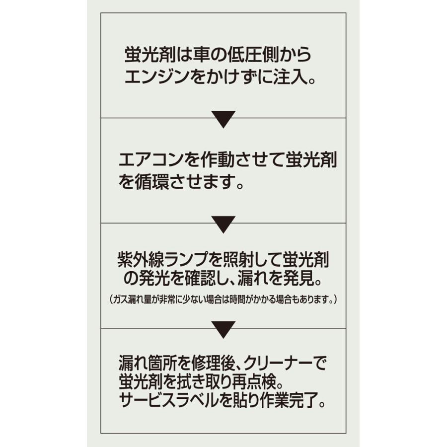 デンゲン リークキットランプ付キット CP-UV100WK_1