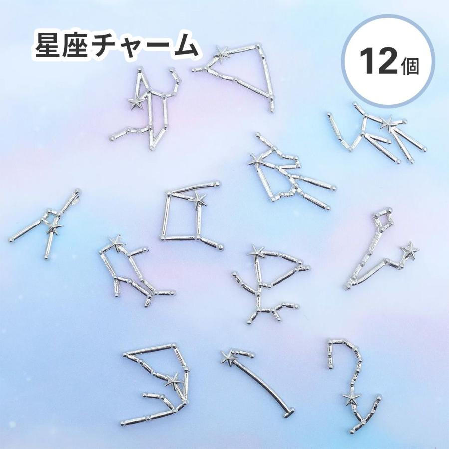 星座 チャーム 12個セット シルバー レジン クラフト 封入素材 メタル