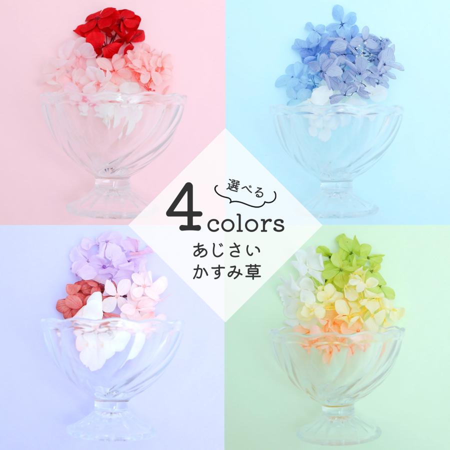 大地農園 プリザーブドフラワー アジサイ ミックスセット