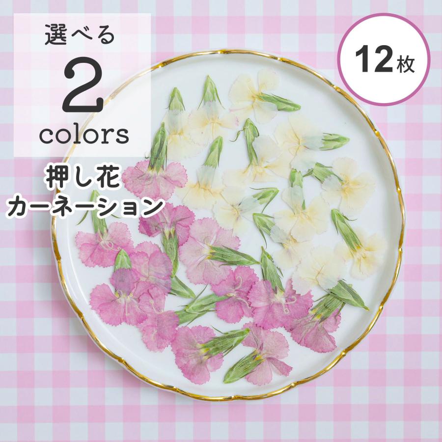 12枚入り】押し花 素材 ドライフラワー カーネーション 小花 葉付 2色