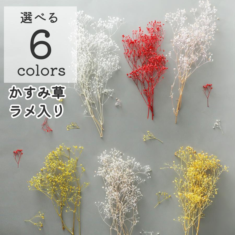 小分け ドライフラワー かすみ草 ソフトミニカスミ草 ラメ入り 白 6色