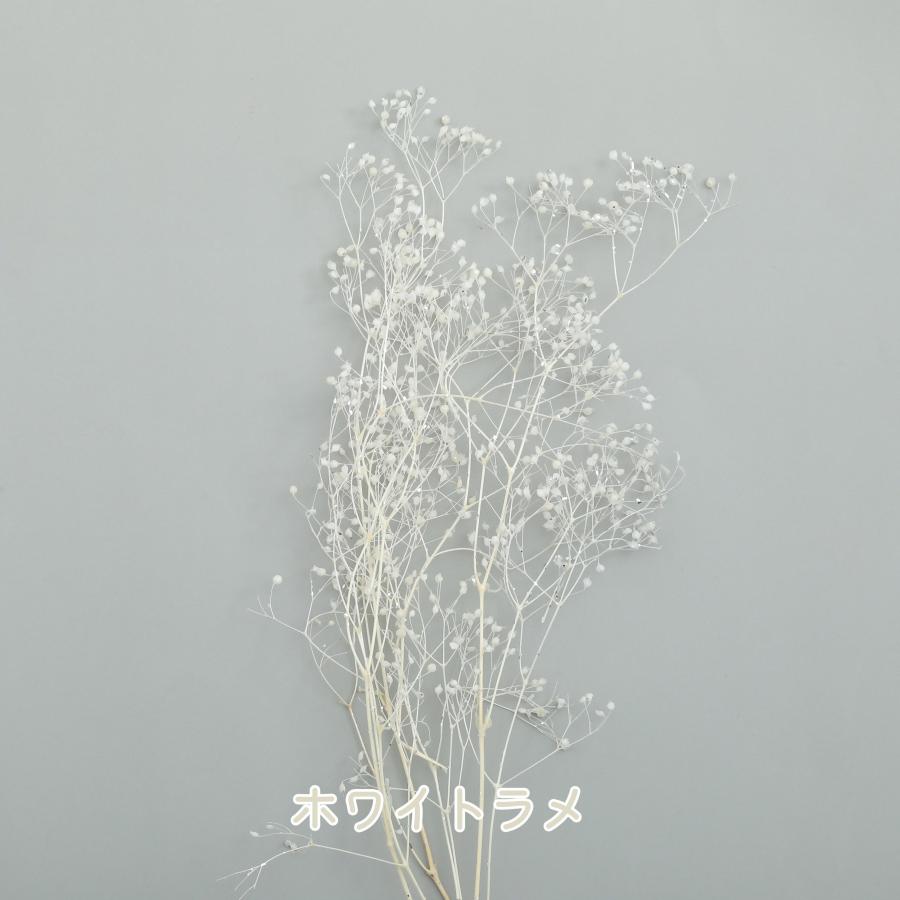 小分け ドライフラワー かすみ草 ソフトミニカスミ草 ラメ入り 白 6色