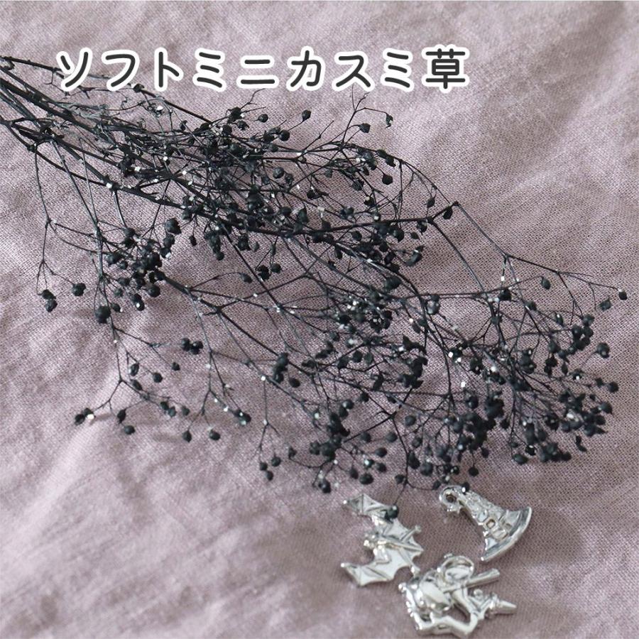 小分け ドライフラワー かすみ草 ソフトミニカスミ草 ラメ入り 白 6色