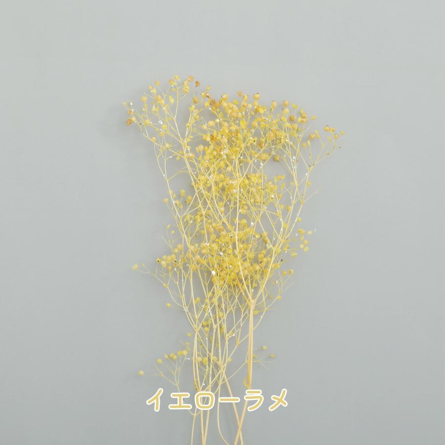 小分け ドライフラワー かすみ草 ソフトミニカスミ草 ラメ入り 白 6色