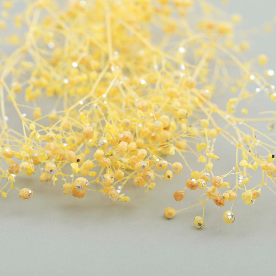 小分け ドライフラワー かすみ草 ソフトミニカスミ草 ラメ入り 白 6色