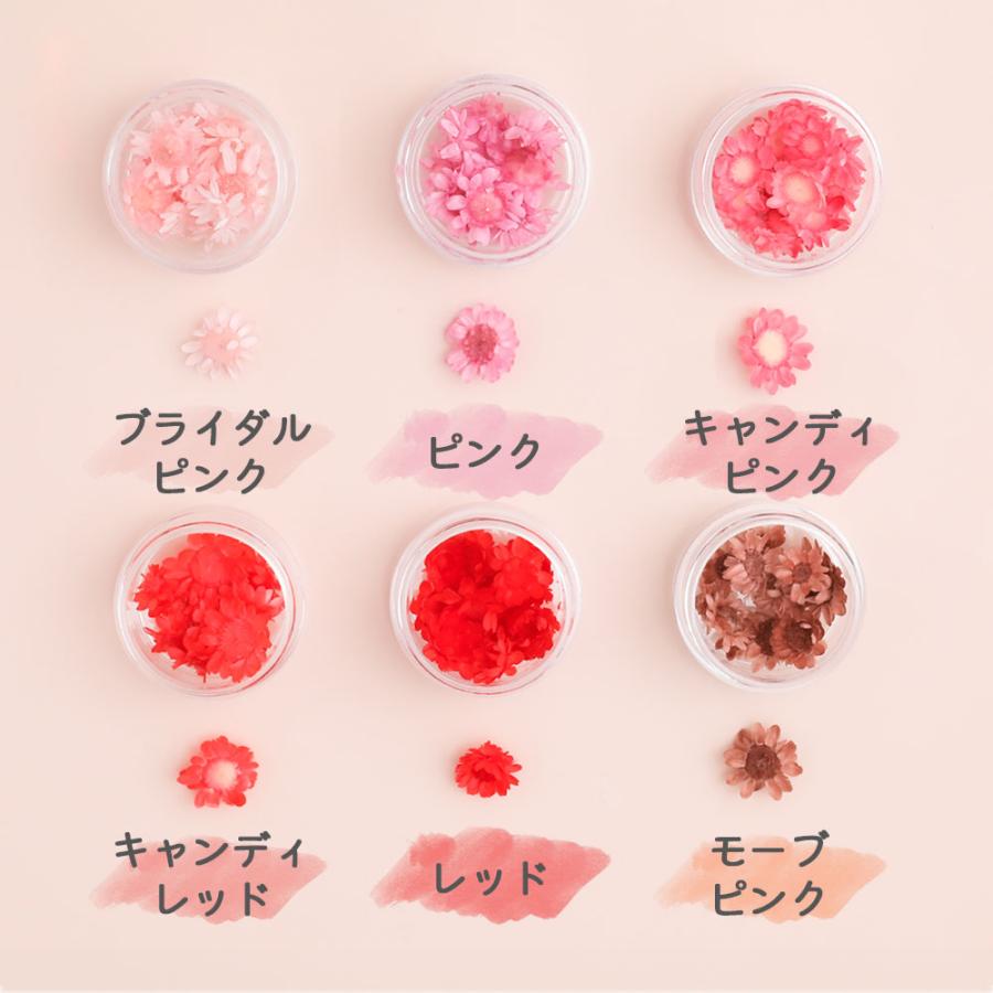 ドライフラワー 花材】スターフラワー ブロッサム 花びら 23色 小さな