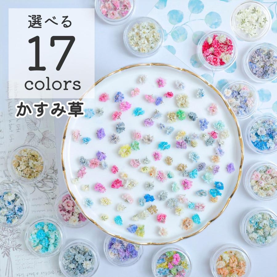 花材】かすみ草 つぼみ ドライフラワー 小分け 17色 レジン封入 お花
