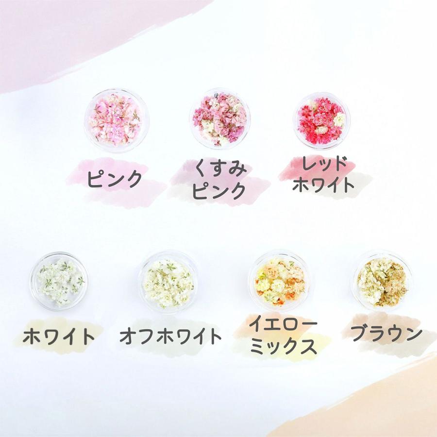 花材】かすみ草 つぼみ ドライフラワー 小分け 17色 レジン封入 お花