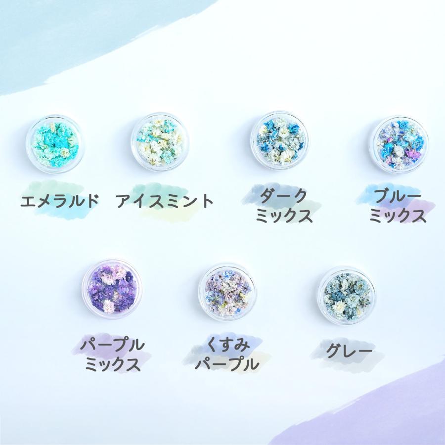 花材】かすみ草 つぼみ ドライフラワー 小分け 17色 レジン封入 お花