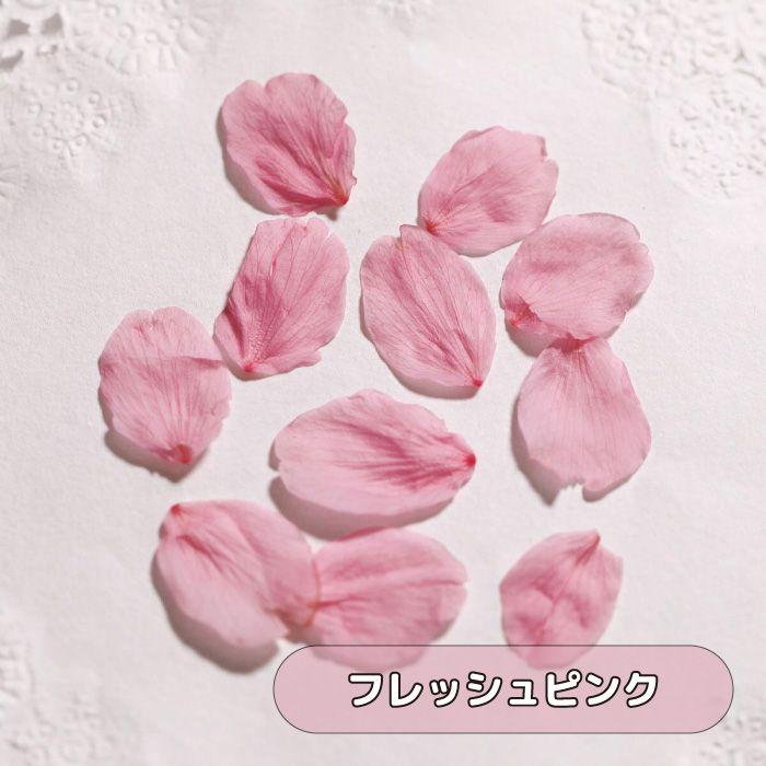 国産 さくら 花びら ドライフラワー プリザーブド加工 花材 素材