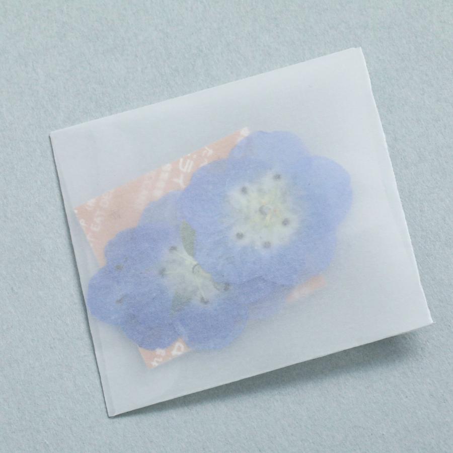 花材】押し花 国産 ネモフィラ ドライフラワー 5枚 ブルー お花 ケース