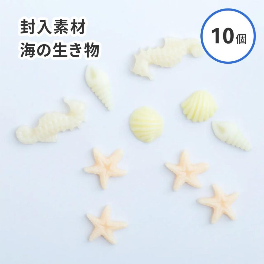 レジン 封入材】ヒトデ 貝 タツノオトシゴ 海 生き物 パステル 素材