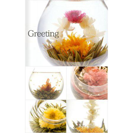 お花が咲くお茶 工芸茶２缶 10珠入り ギフト 化粧箱入り リボン付き お祝い バースデー 内祝 C0200 工芸茶専門店クロイソス 通販 Yahoo ショッピング