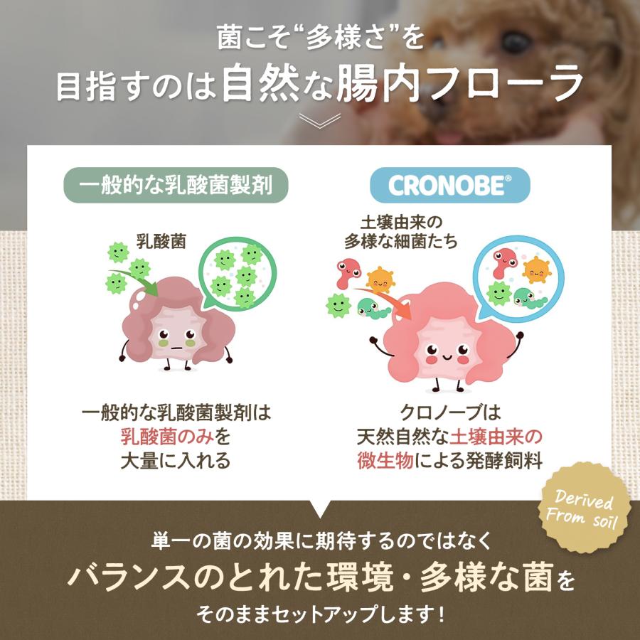 犬 猫 乳酸菌 サプリメント 食物繊維 プロバイオティクス 善玉菌