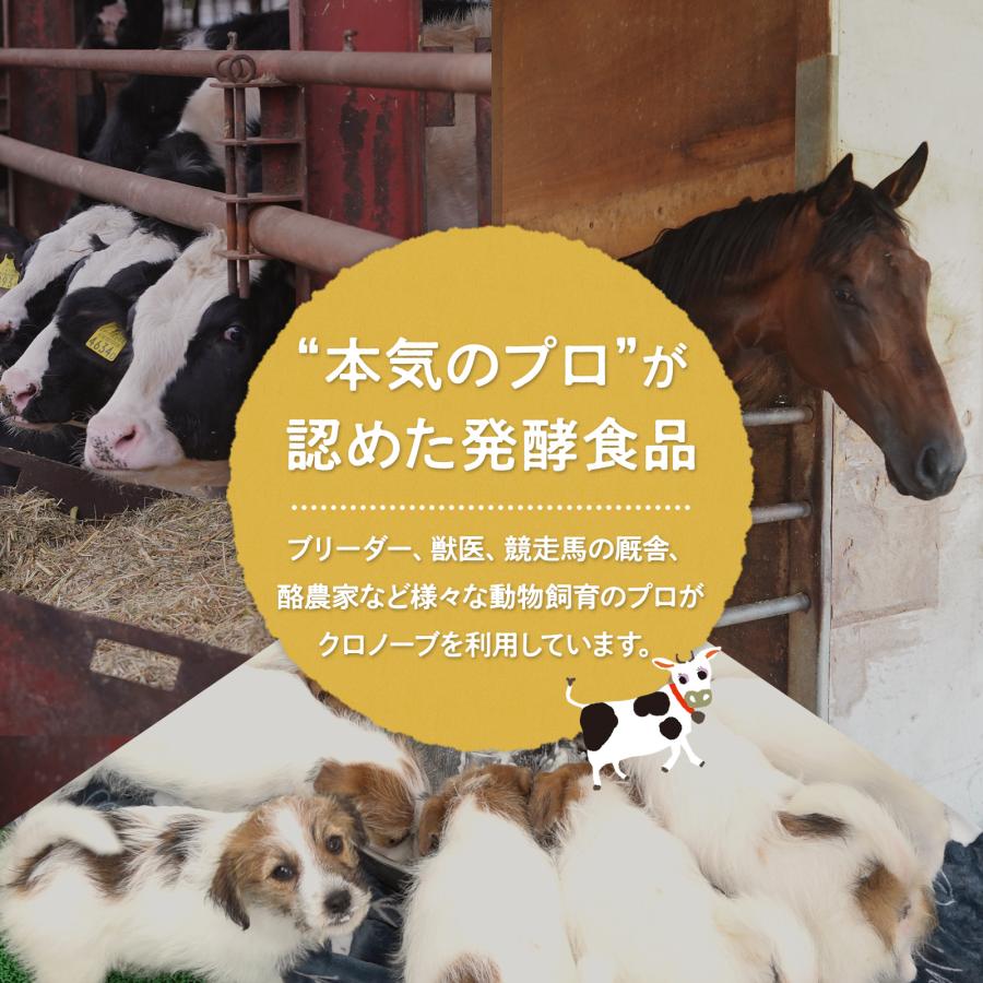 犬 猫 乳酸菌 サプリメント 食物繊維 プロバイオティクス 善玉菌