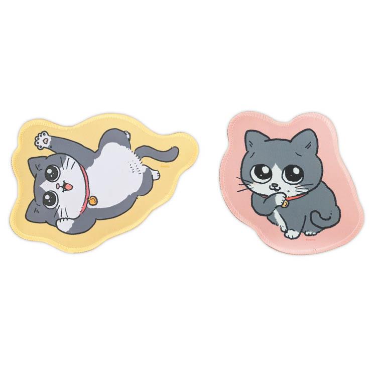 うちの猫ぶーちゃんです　 うちの猫ぶーちゃんです 公式】ねこのぶーちゃん (@neko_no_boo) / X