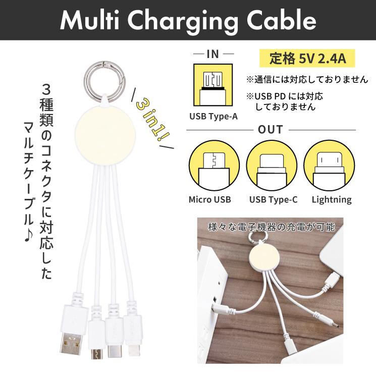 gourmandise（グルマンディーズ） ドラえもん 充電 ケーブル Type-C