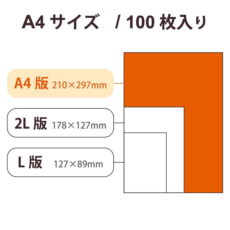 エレコム プリンター用紙 写真用紙 A4 100枚 光沢 薄手 インクジェット 写真プリント ホワイト｜cross-road｜06