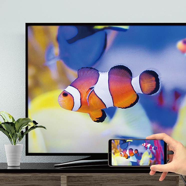 スマートフォン HDMIミラーリングケーブル ブラック USB-Cコネクタ 3m iPad 動画 ゲーム プレゼンテーション テレビ モニター スマホ PGA|cross-road|03