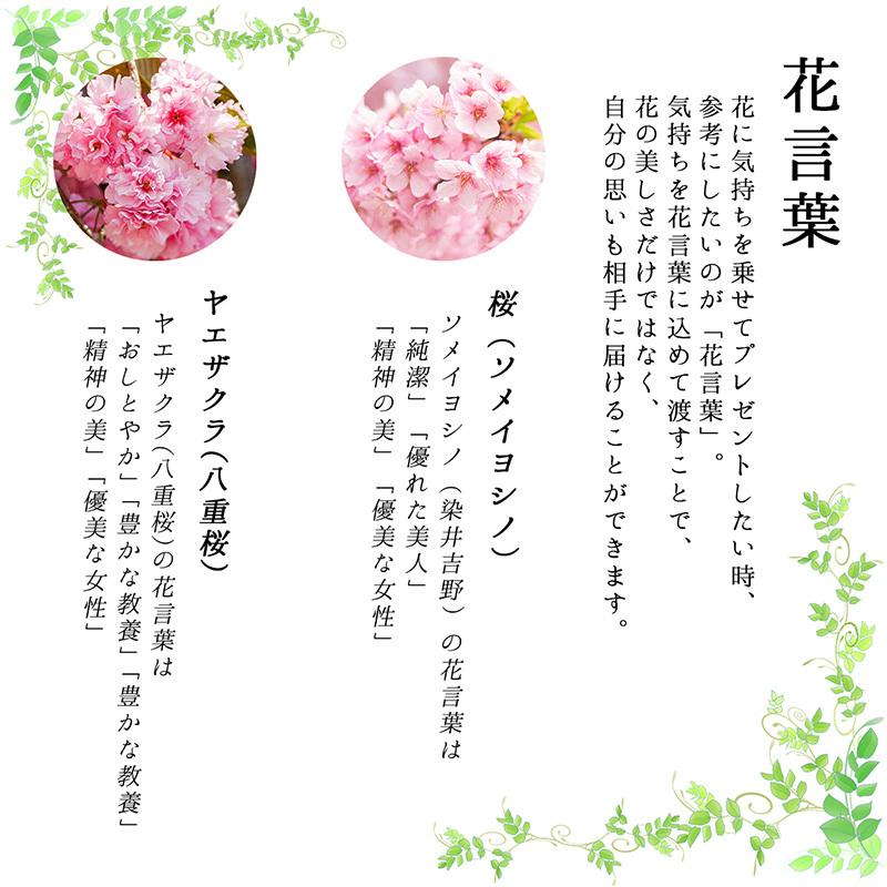 ギフト 熨斗対応 母の日 ギフト Flower Pen 押し花 ボールペン プレゼント フラワーペン 筆記具 桜 さくら 女性 かわいい 還暦祝い 職人 手作り ペン Sku2102fpen セレクトショップクロス 通販 Yahoo ショッピング