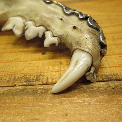 ターコイズペンダントターコイズ トップ 謎の顎 猫科?  ハンドメイド/インディアン/ナバホ /ターコイズ　ペンダント/インディアン/ペンダント/インディアンジ… |  | 02